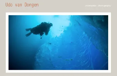 Udo van Dongen